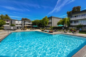 Outdoor pool - Spacious Urban Flat 1BR in Sunnyvale w/ Pool + Gym (Sunnyvale)