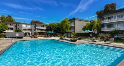 Spacious Urban Flat 1BR in Sunnyvale w/ Pool + Gym