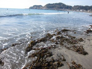 A beach with seaweed on the sand and waves crashing onto the shore.