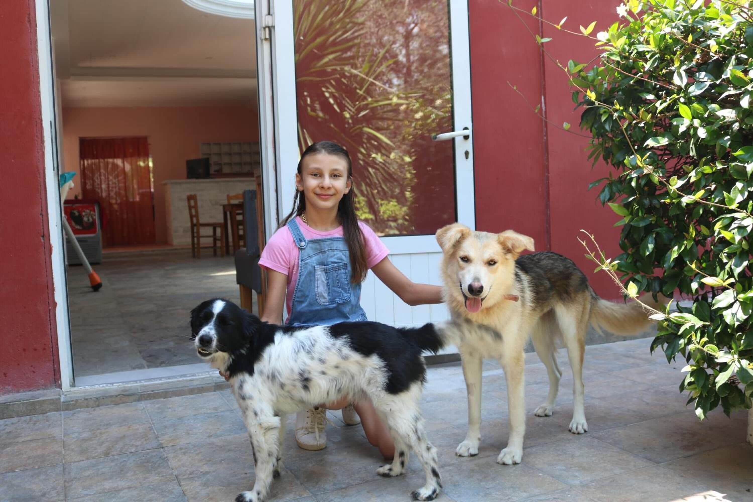 A child and two dogs in front of a red building with a glass door.
