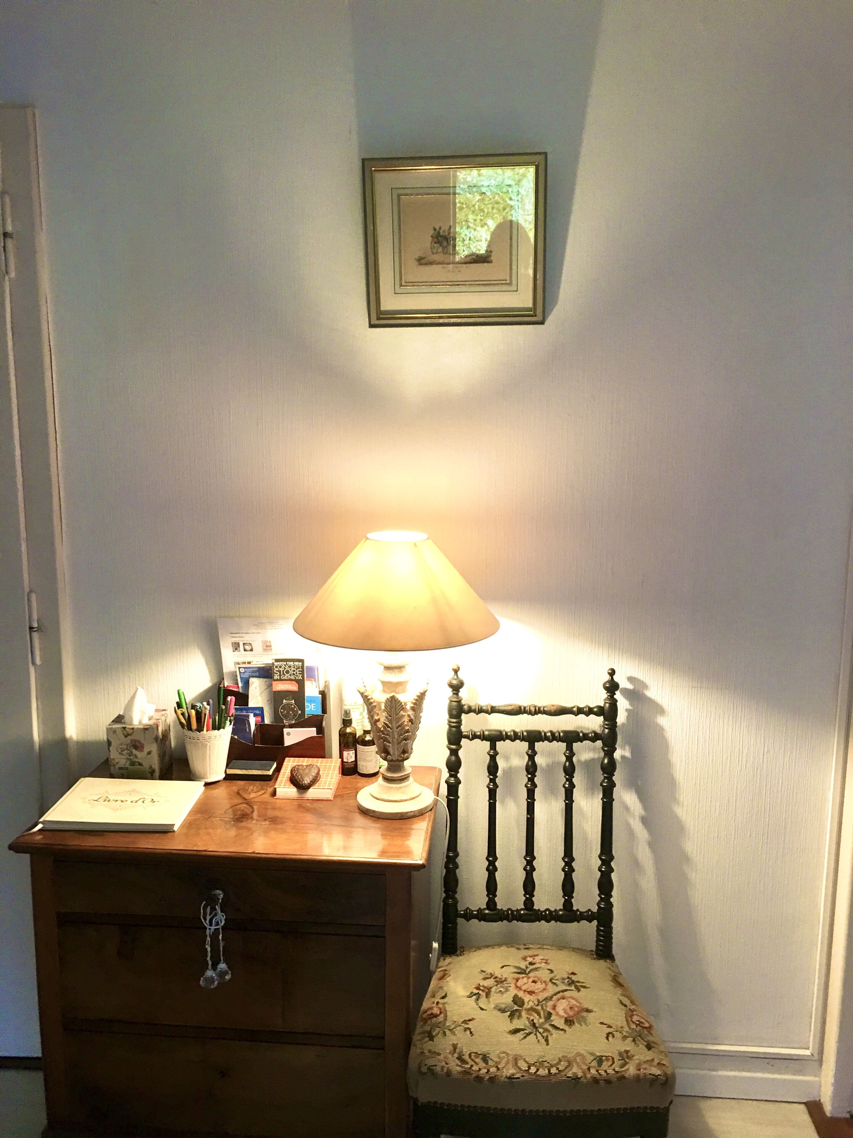 Villa Boissière in green park Geneva center - 5-6 free car parks