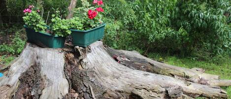 Jardin