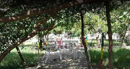 Meaza Hotel