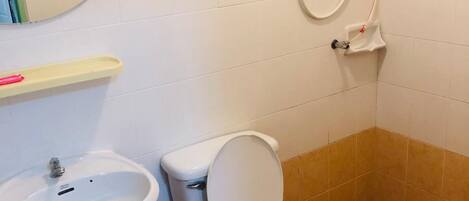 A small bathroom with a toilet, sink, and a shower unit.