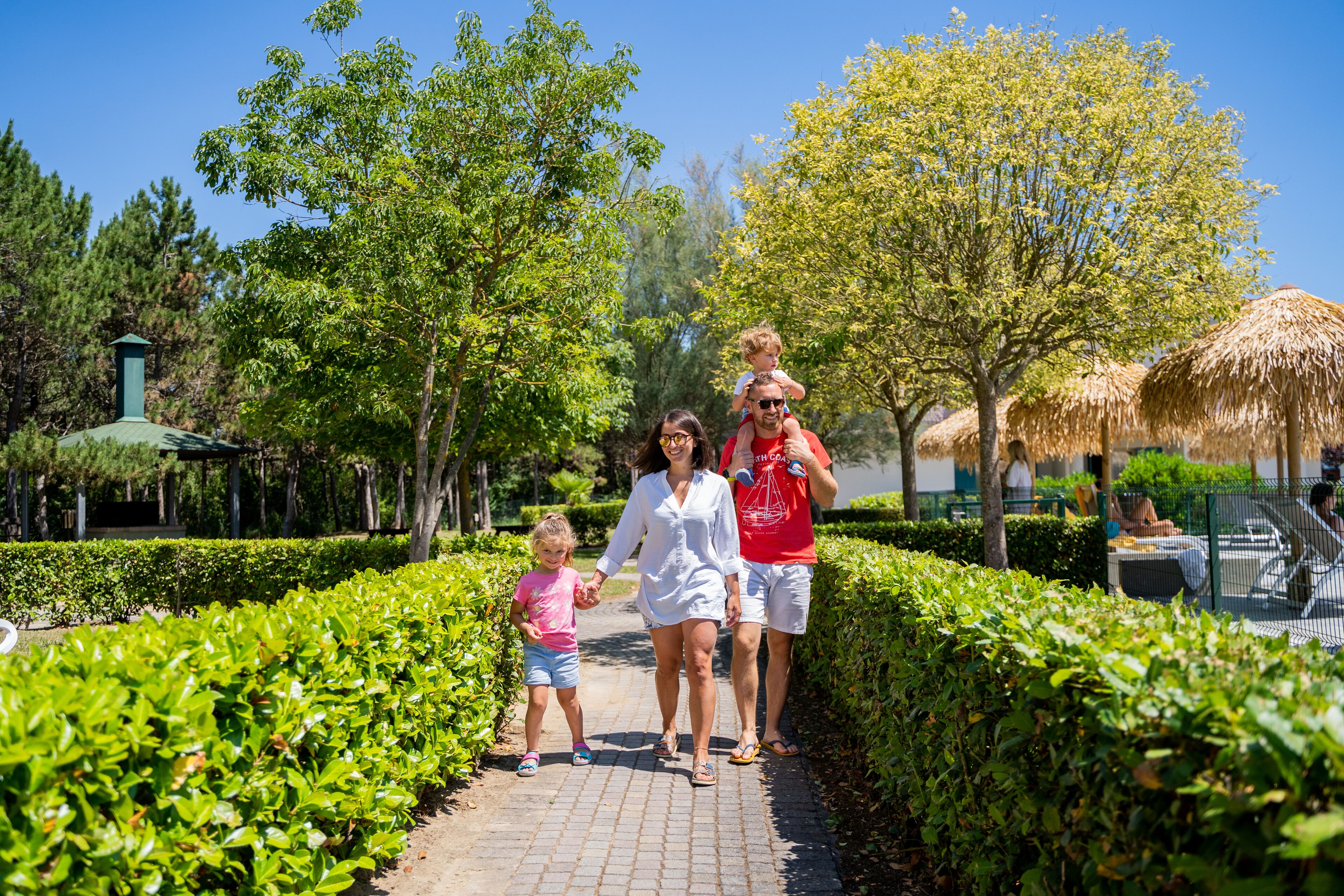 A pathway lined with hedges and trees, leading to a building with a green roof.