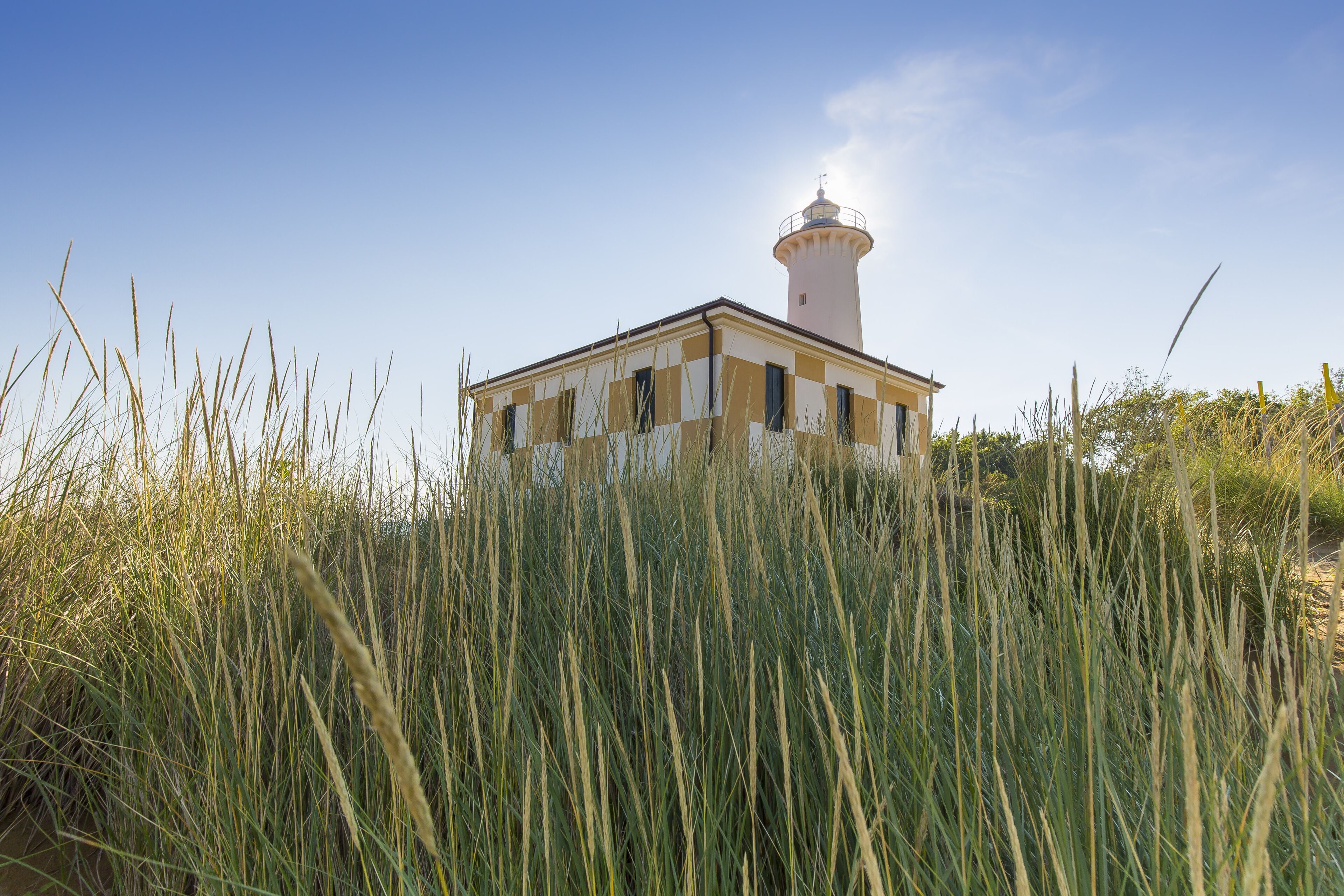A lighthouse surrounded by tall grass.