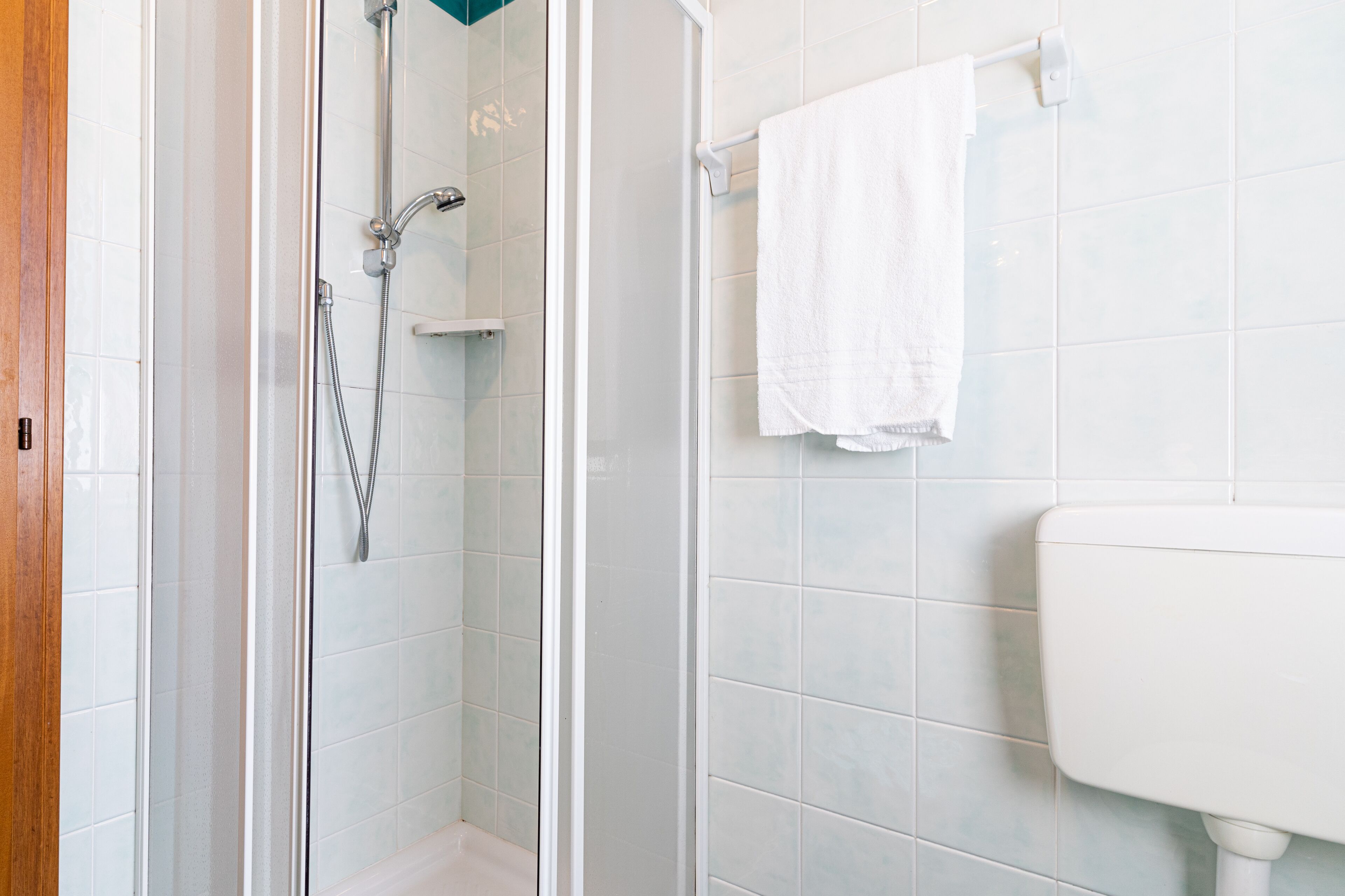 Ein Badezimmer mit einer gläsernen Duschkabine, einer weißen Toilette und einem Handtuch an einem Halter.