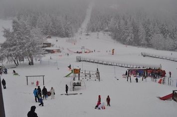 Sneeuw- en skisporten