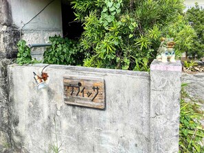 外観の詳細
