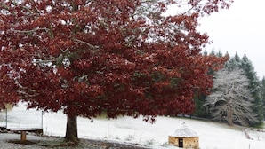 Un paysage enneigé, avec un arbre aux feuilles rouges bien visible et un petit bâtiment en pierre.