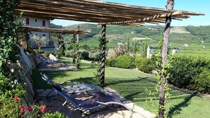 A vineyard with a pergola, a bench, and a building in the background.