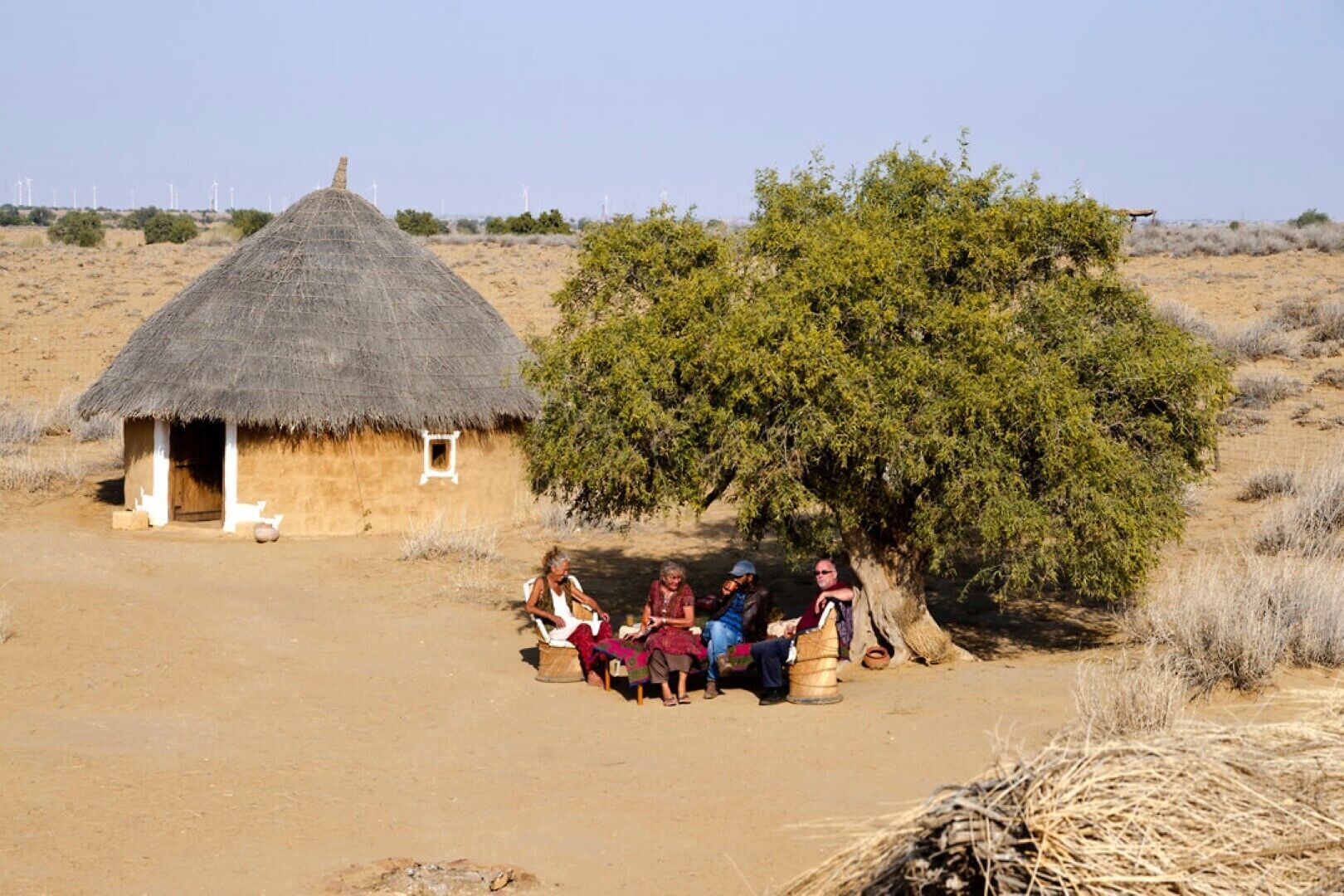 Traditionally decorated mud houses. 