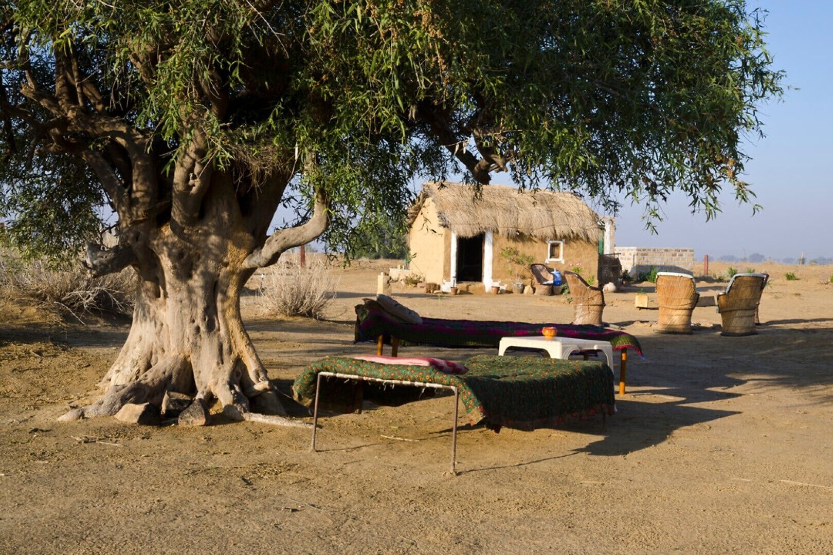 Traditionally decorated mud houses. 