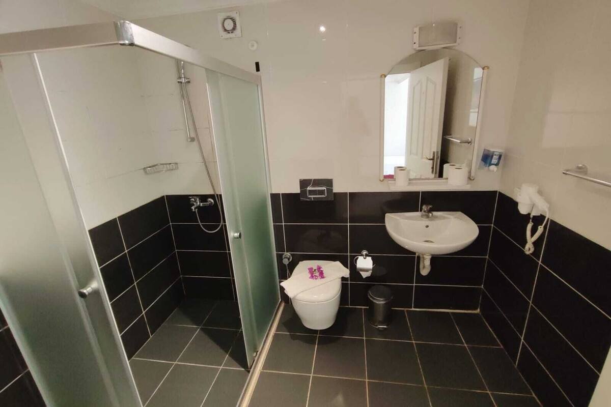 standard double or twin room, terrace | bathroom | shower, hydromassage showerhead, free toiletries, hair dryer