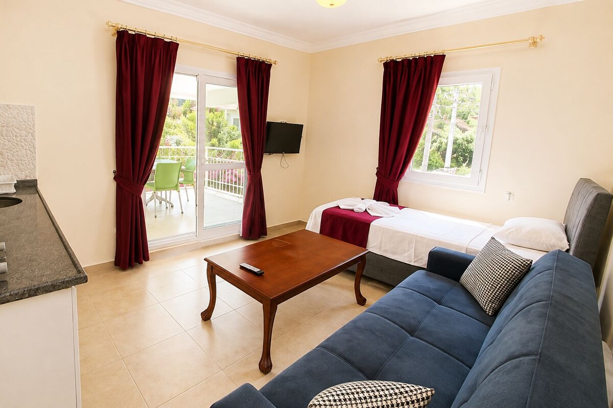 Comfort Apartment, Terrace | Minibar, desk, soundproofing, WiFi (free)