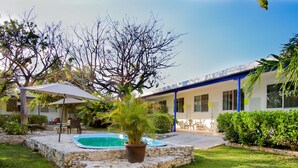 A pool area with stone steps, a palm tree, and outdoor furniture. - Casa Bakab by Rotamundos (Mérida)