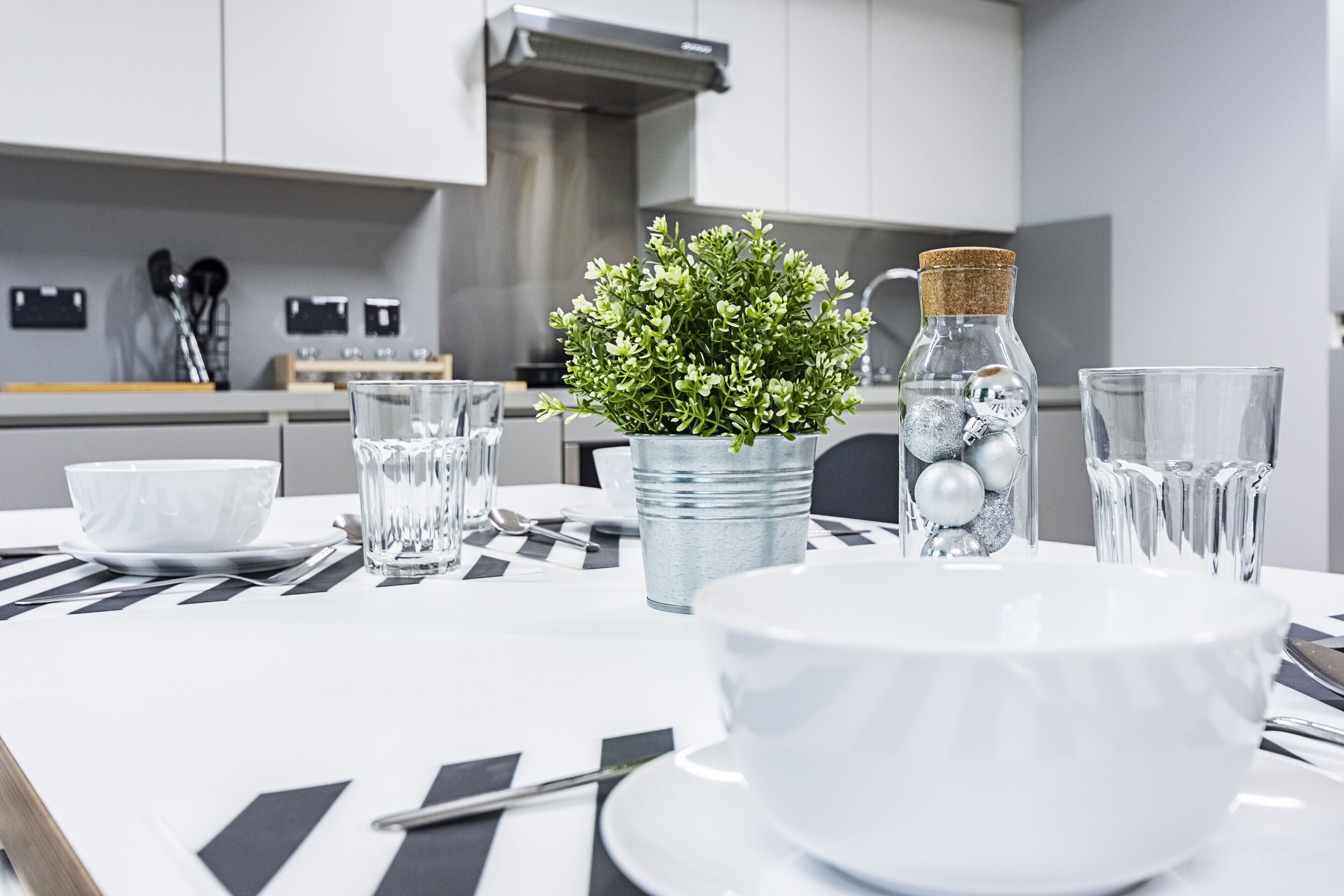 shared kitchen facilities | fridge, microwave, cleaning supplies