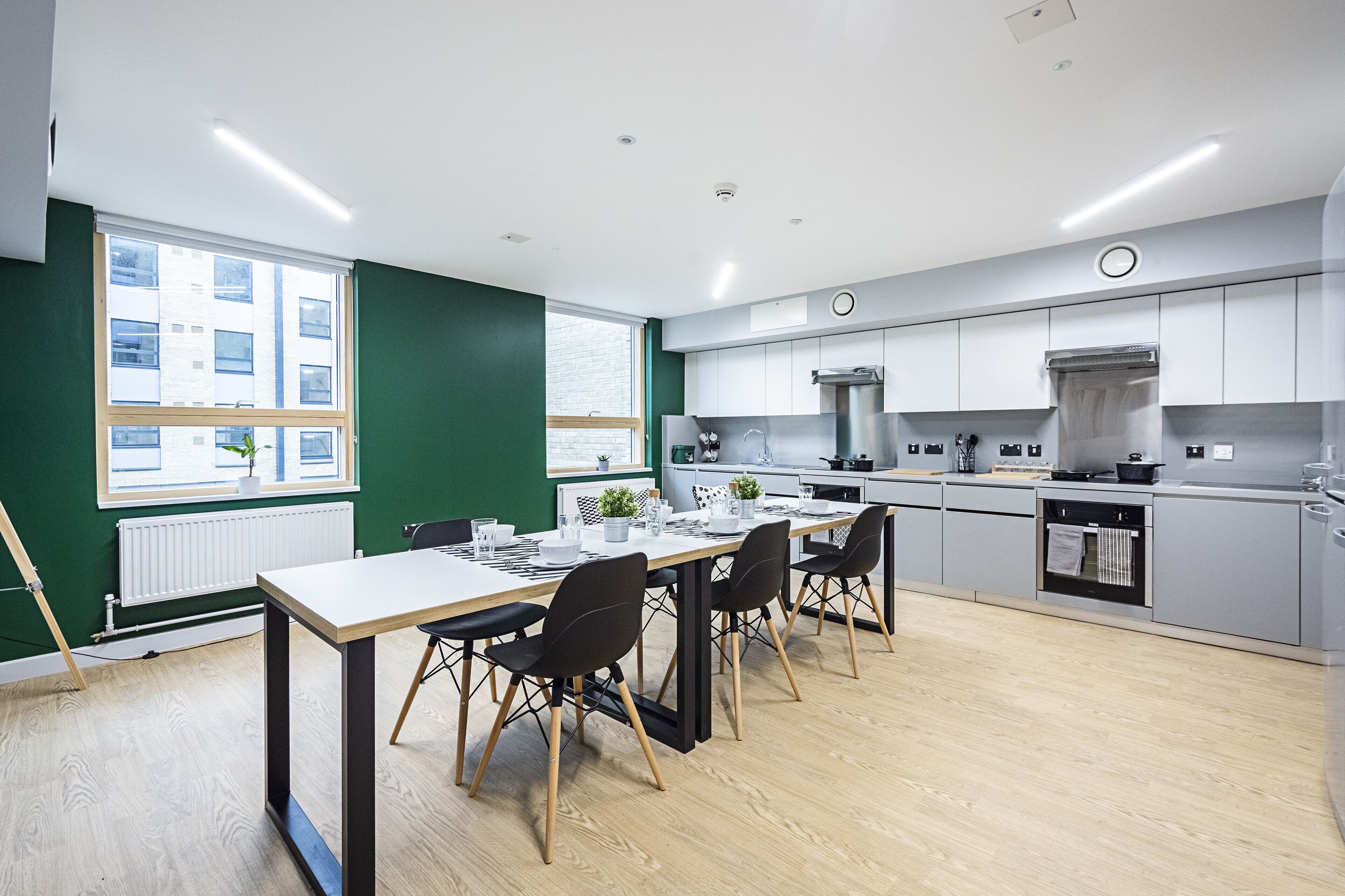 shared kitchen | fridge, microwave, cleaning supplies