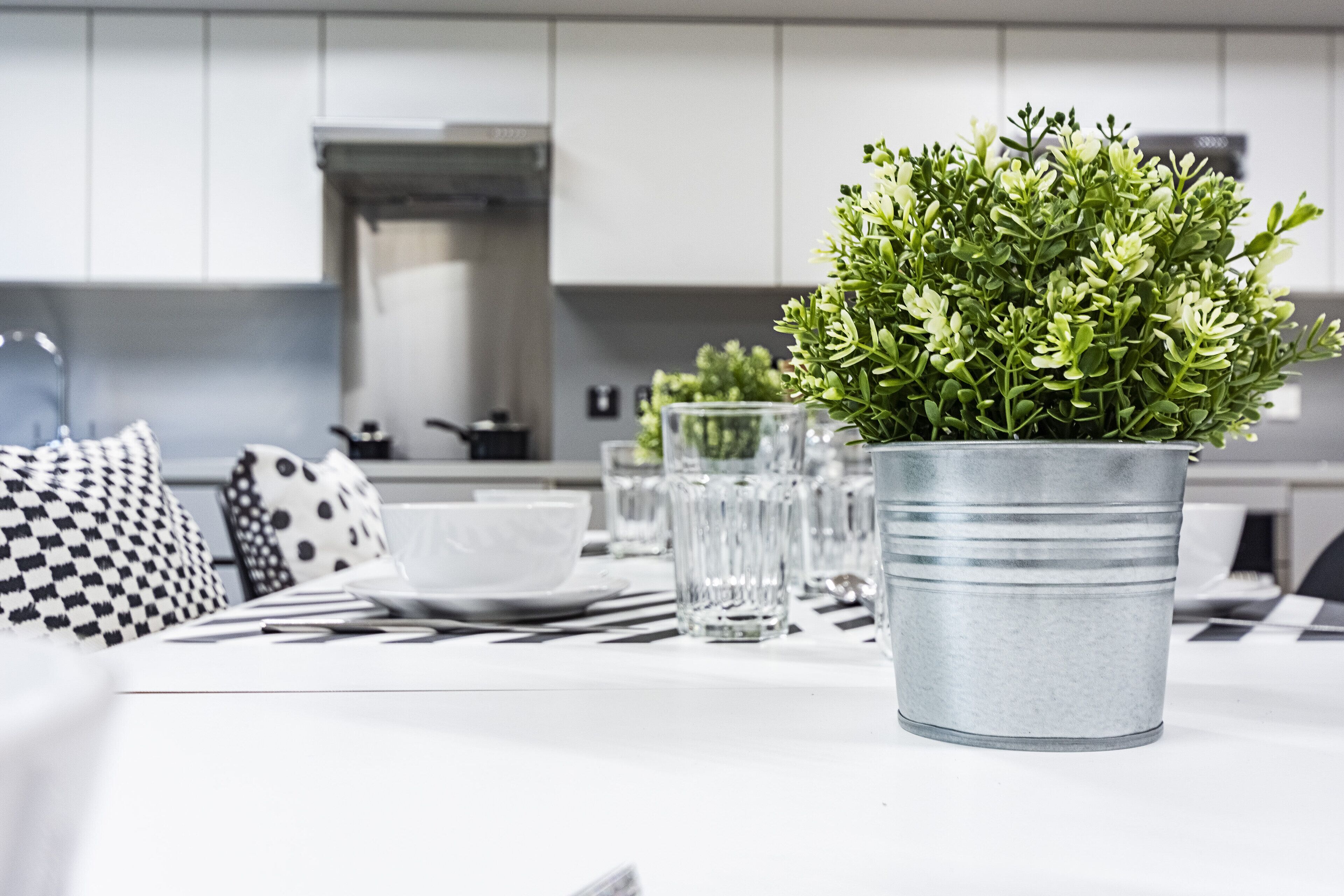 shared kitchen facilities | fridge, microwave, cleaning supplies