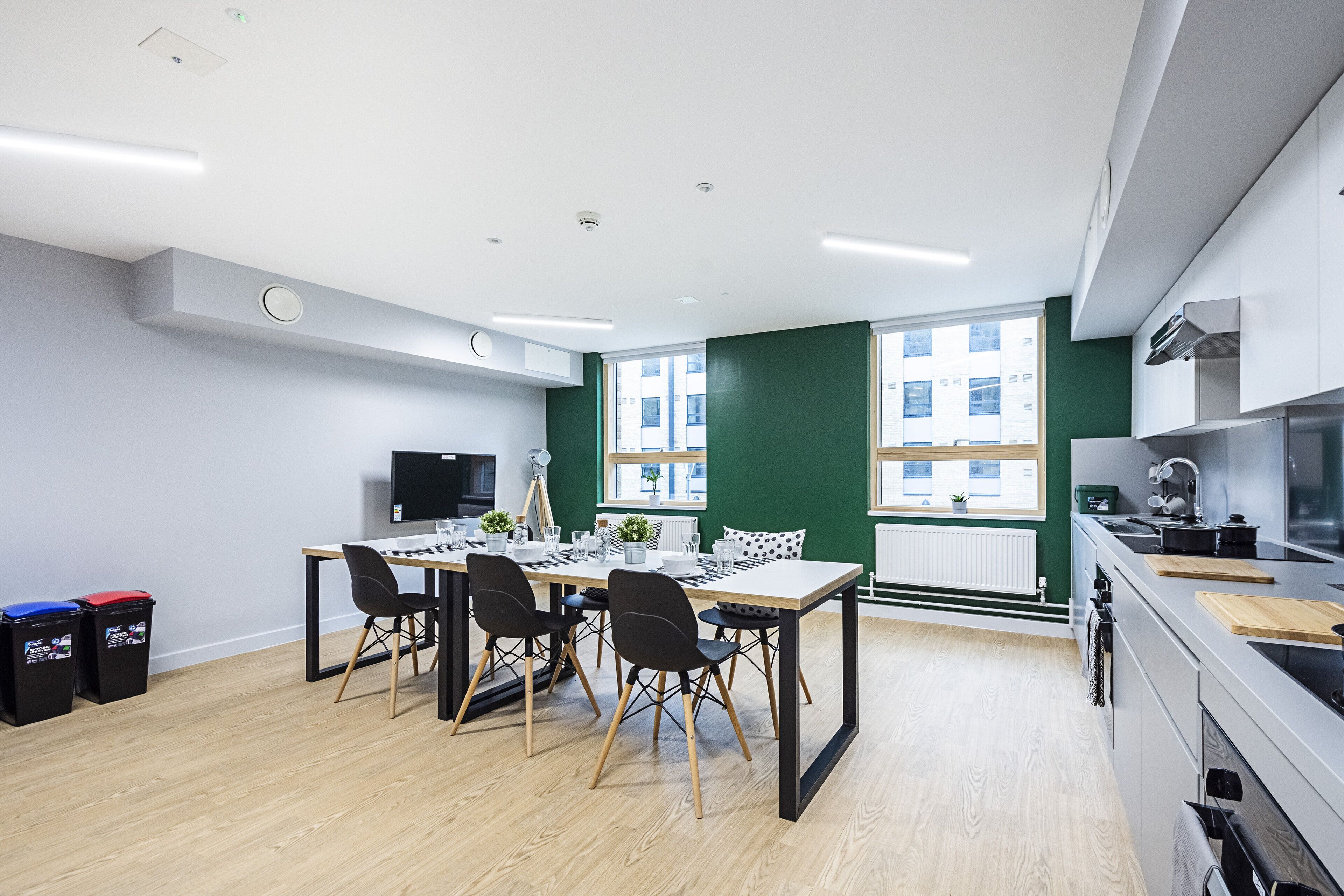 private kitchen | fridge, microwave, cleaning supplies