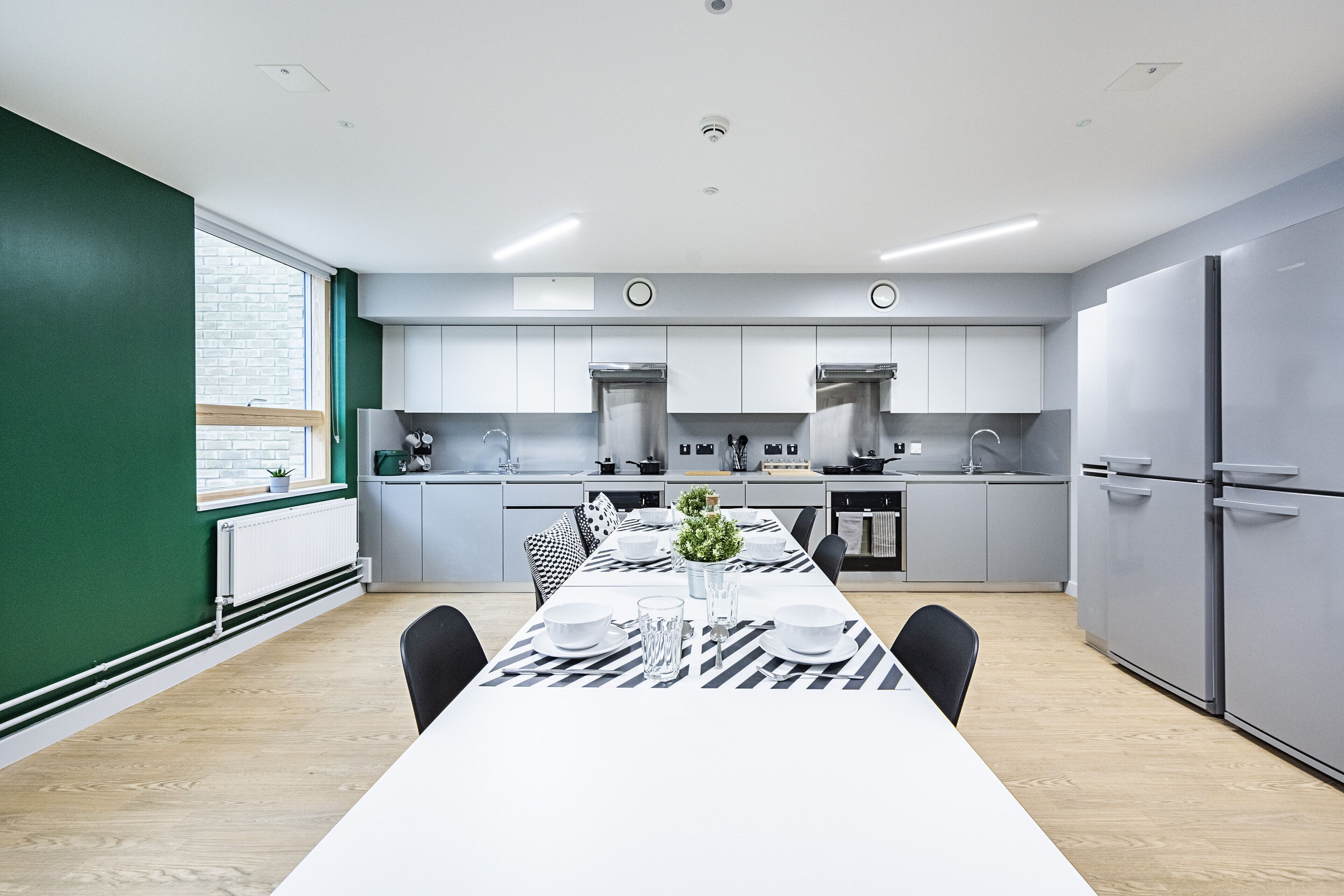 private kitchen | fridge, microwave, cleaning supplies