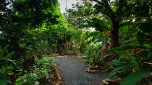 Property grounds - La Finca (Cambutal)