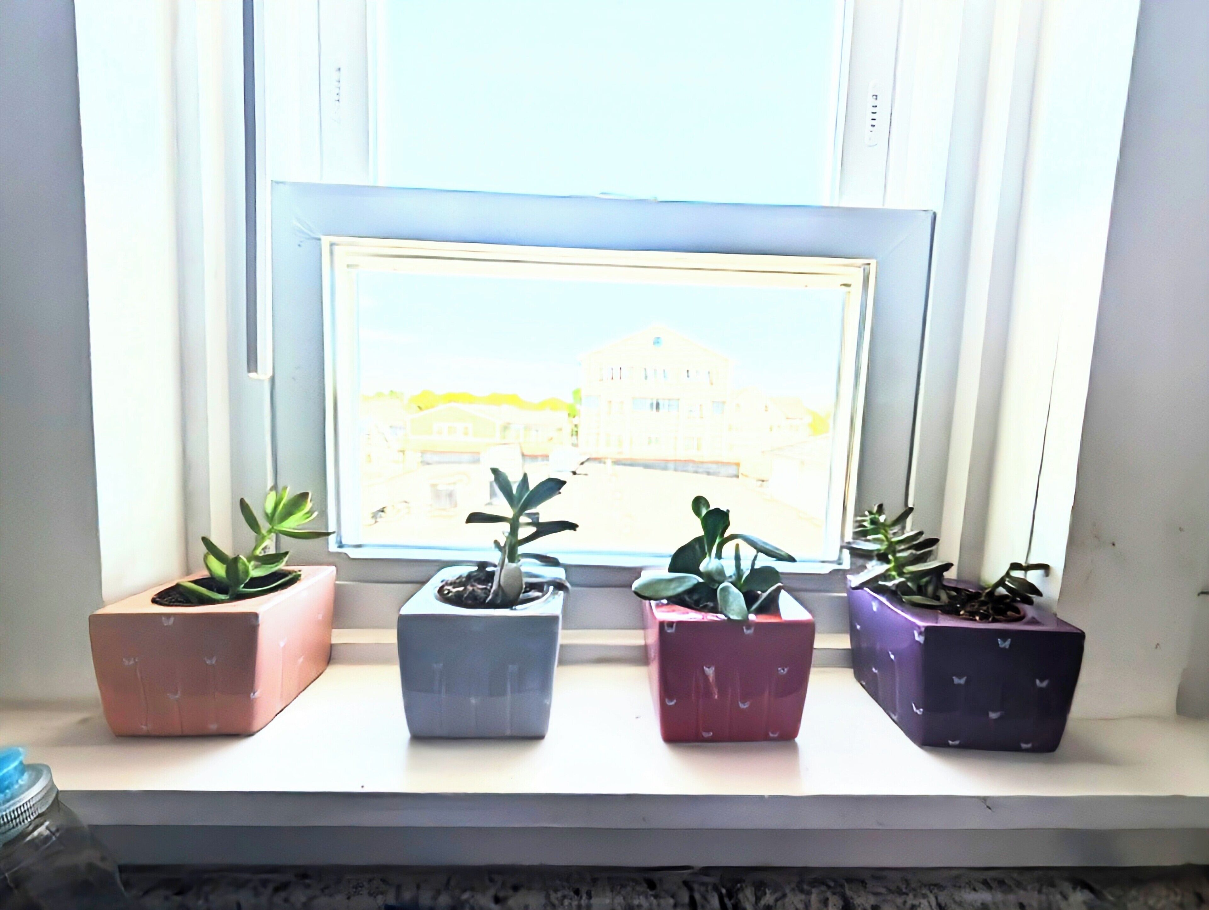 A window sill with four potted plants in different colors.