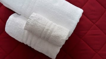 Shower, rainfall showerhead, bidet, towels