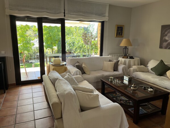 Smart TV, chimenea, libros