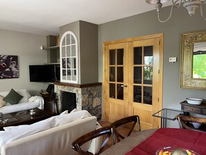 Smart TV, fireplace, books