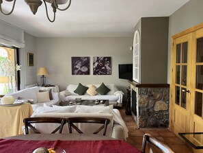 Smart TV, chimenea, libros