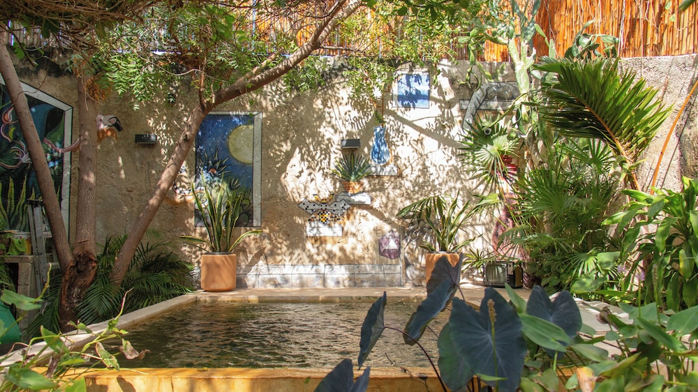 Kukā y Naranjo by null