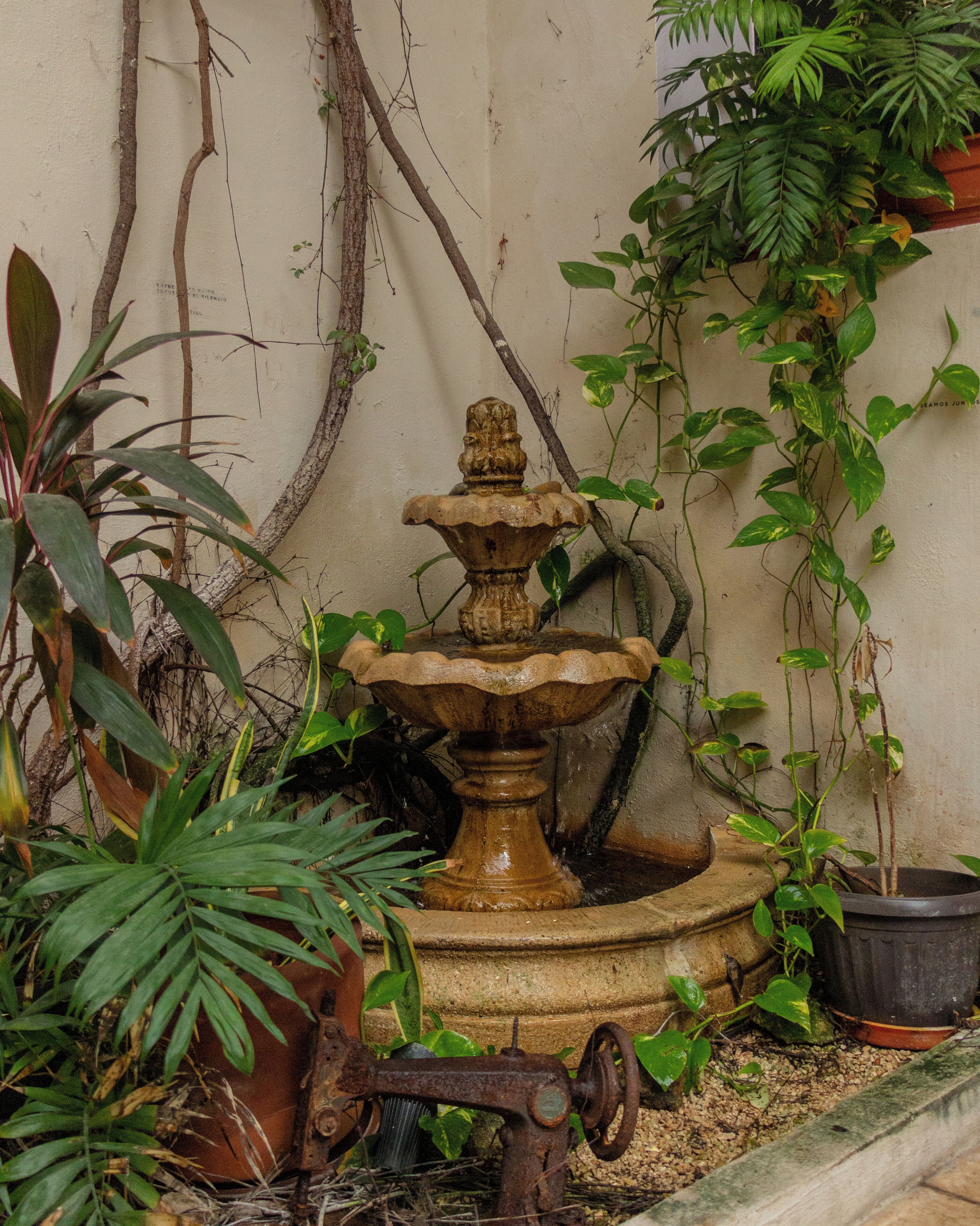 Foto - Kuka y Naranjo