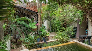 Terrace/patio - Kuka y Naranjo (Mérida)