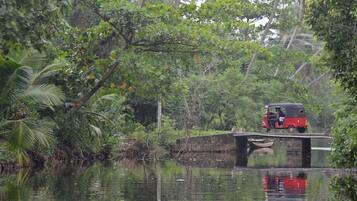 A red auto-rickshaw crossing a bridge over a river surrounded by dense greenery.