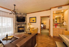 TV, fireplace, DVD player, video library