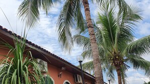 A building with a red facade, arched windows, and a palm tree in the foreground. - Hotel Recreio dos Bandeirantes (Sertaozinho)