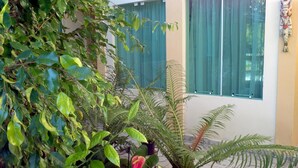 Un patio con diversas plantas, una flor roja y un edificio con cortinas verdes.