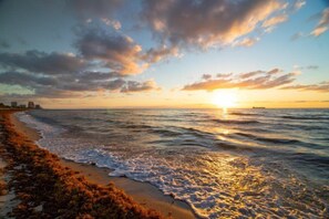 House | Beach