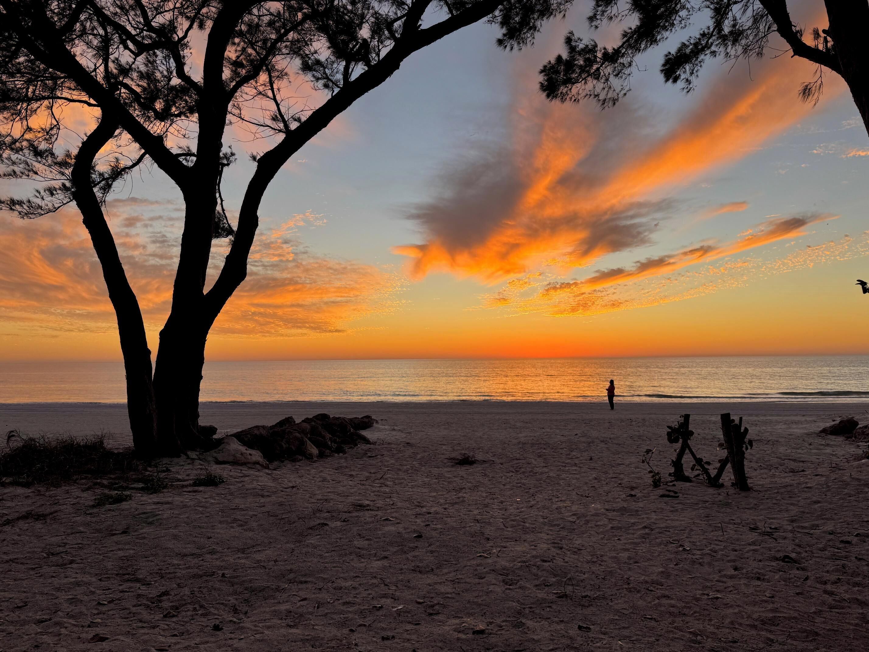 Escena de playa con atardecer, árboles y una persona caminando.