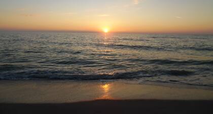 Manasota Key Bayn puolella 1 Bdrm Condo