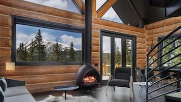 TV, fireplace, DVD player, books