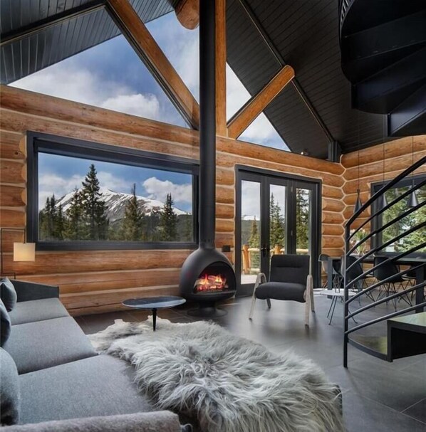 TV, fireplace, DVD player, books