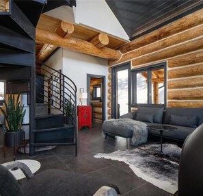 Smart TV, chimenea, reproductor de DVD y libros 