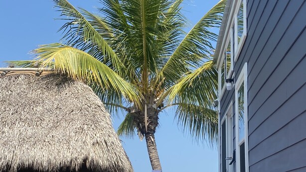 Ein Sitzbereich im Freien mit einem Reetdach, einer Palme, einer Treppe, die zu einem Haus führt, und einem Gewässer im Hintergrund.