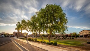 A residential street with houses, a sidewalk, and trees. - Goodyear, AZ full home with heated pool and spa and desert oasis back yard!! (Goodyear)