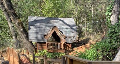 Metsämökki Suuri ryhmä loma