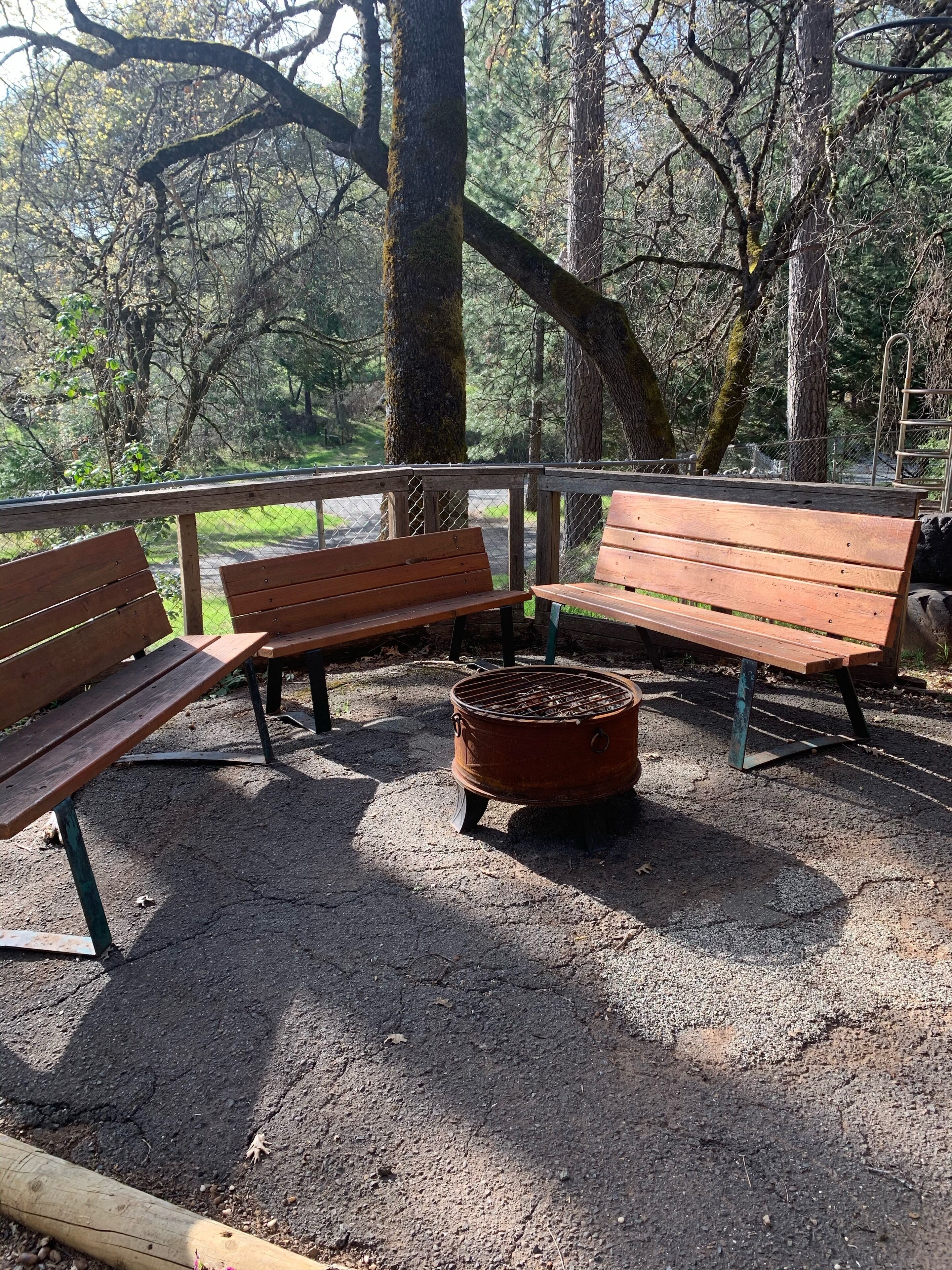 A wooden bench and a fire pit in a forested area with a metal railing.