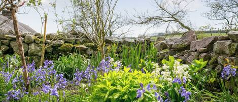 Jardines del alojamiento