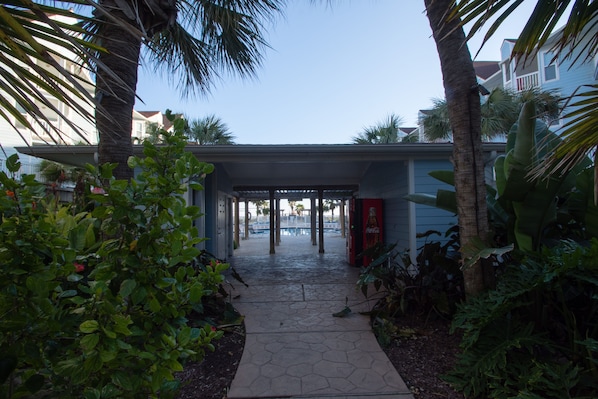 A pathway leading to a building with a covered entrance, surrounded by lush greenery and palm trees. - Beachside~Sunrise-Ocean View, Top Fl, Prvt Beach Access, Pool, W&D, Parking (Galveston)